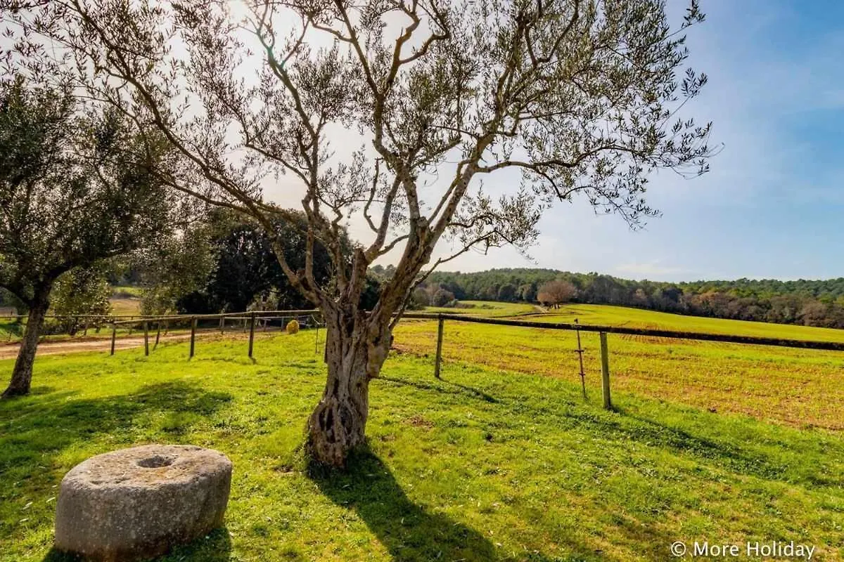 Cal Parent Casa Rural En El Pla De Lestany Villa Ollers 0*,